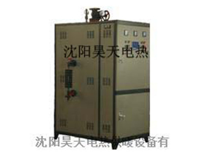 电加热蒸汽锅炉